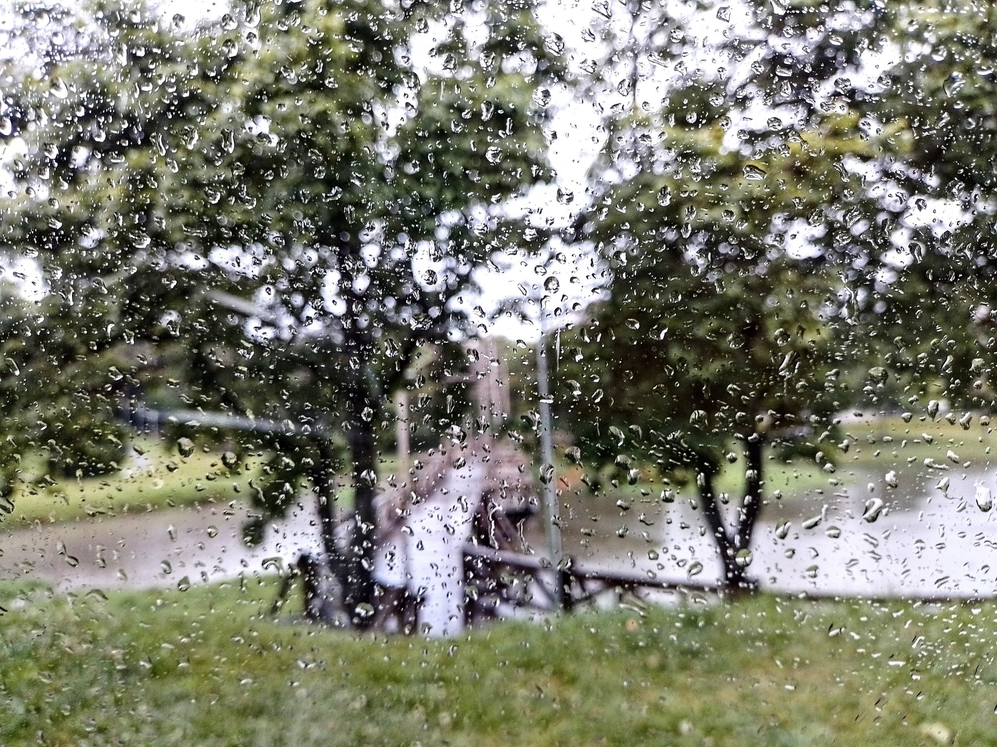 Semana começa com chuvinha e calor em todo Paraná