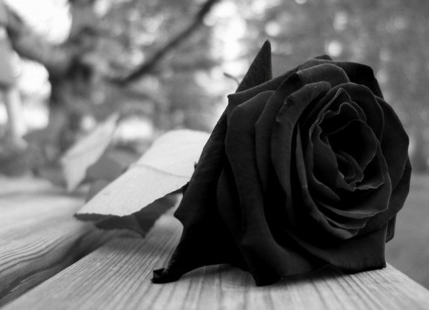 Óbitos de hoje (06-sexta) registrados na Central de Triagem em Guarapuava