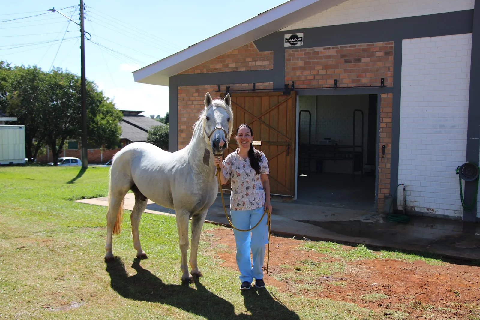 Com estrutura modernizada, Clínica Veterinária da Unicentro retoma cirurgias de grandes animais