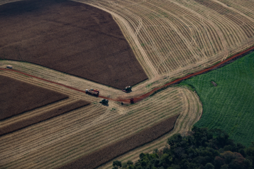 PIB do Paraná cresce 22% acima da média nacional em 2025