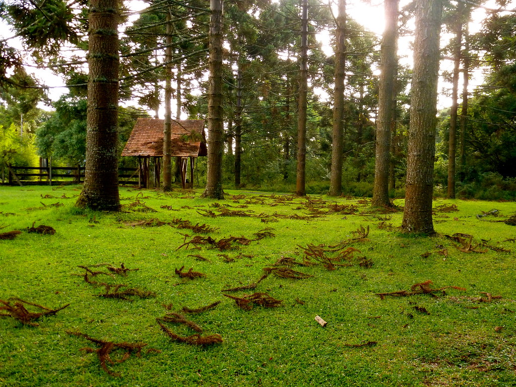 Outono começa na sexta (20) com chuva acima da média e mais dias com amplitude térmica