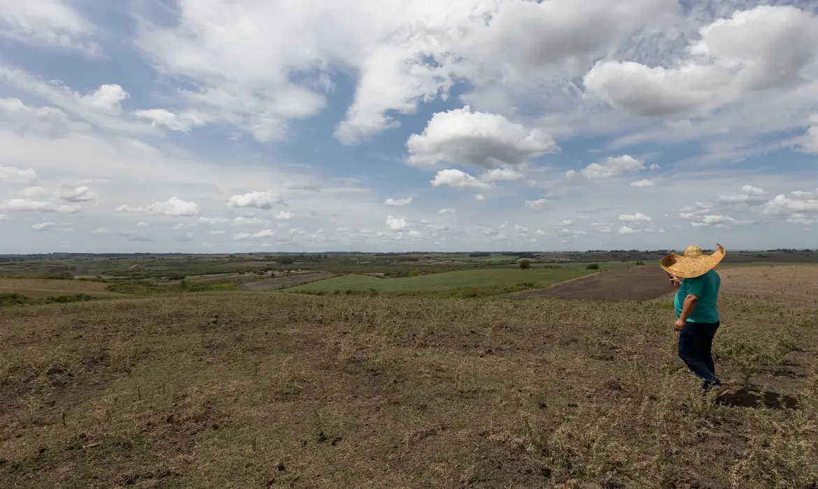 Fevereiro teve registro de seca mais branda em quatro regiões do país; no Paraná ficou estável